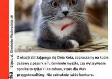 Mruczando w Minitece