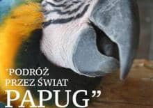 Podróż poprzez świat papug - prelekcja w Akademii Papug
