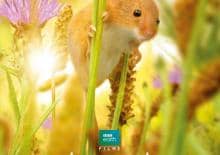 Ziemia. Niezwykły dzień z życia planety - film