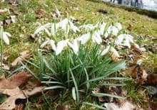 Wilanowski Klub Przyrodniczy - warsztaty rodzinne