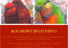 O kolorach papug oraz kolorowych papugach - prelekcja w Akademii Papug
