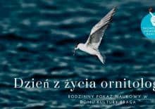 Dzień z życia ornitologa - rodzinny pokaz naukowy