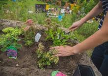 Ogród Dzikich Dzieci - warsztaty ogrodnicze dla dzieci