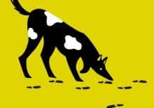 Literacki weekend - Fama na tropie - wydarzenia dla dzieci