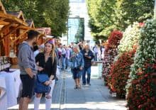 Miasto Ogród - Kolorowa Aleja, Eko Market