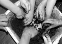 Kwiaty, nasiona i zapylacze. O bioróżnorodności - warsztaty rodzinne