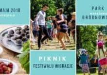 Piknik Festiwalu Wibracje