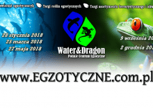 Water & Dragon - Wystawa Zwierząt Egzotycznych
