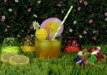 Lemoniadowy zawrót głowy - warsztaty kulinarne dla dzieci