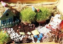 Magiczne Ogrody Fantazji  - warsztaty plenerowe