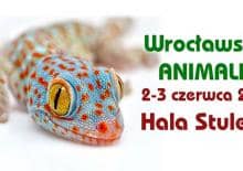 Wrocławskie Animalia
