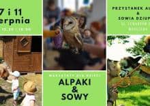 Warsztaty przyrodnicze - spotkanie z alpakami i sowami