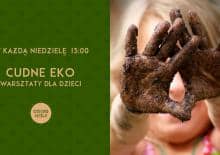 Cudne EKO warsztaty dla dzieci na świeżym powietrzu