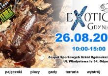 Exotica Gdynia - wystawa zwierząt