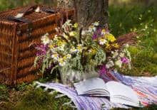 Rodzinny Piknik z Książką