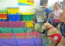 Dogoterapia dla najmłodszych - zajęcia cykliczne