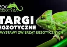 Targi Egzotyczne i Wystawa Zwierząt Ezgotycznych