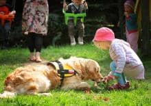 Warsztaty "Bezpieczny pies, bezpieczne dziecko"