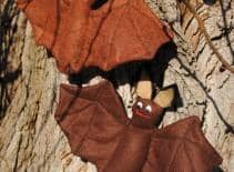 Z maluchem w plener - spotkania edukacyjne w parku Wilanowskim