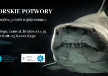 Morskie Potwory, czyli niezwykła podróż w głąb oceanu