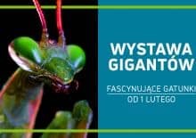 Wystawa Gigantów w Galerii Północnej