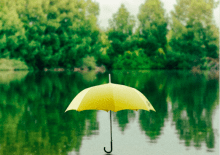 Wzmocnij układ odpornościowy w 3 krokach