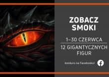 Fascynujący świat smoków - wystawa w Galerii Północnej