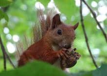 Bliskie spotkania z przyrodą Łazienek Królewskich