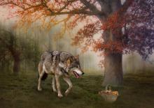 Dlaczego Czerwony Kapturek może doprowadzać dzieci do płaczu?