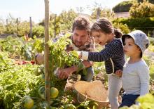 Hortiterapia sposobem na stres dziecięcy