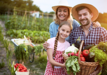 Blisko 300 000 dzieci z całej Polski wysiało koper w ramach akcji #ZDROWOROSNA