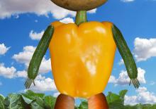 Rzepka. Julian Tuwim