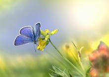 delikatność terapii czaszkowo-krzyżowej