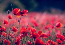 Sheila Kitzinger. Jak jej przełomowe idee zmieniły podejście do porodu