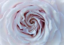 terapia czaszkowo krzyżowa we wsparciu płodności