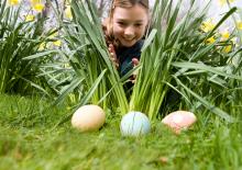 poszukiwanie jajek zabawa wielkanocna