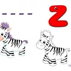 z-rebus-zebra